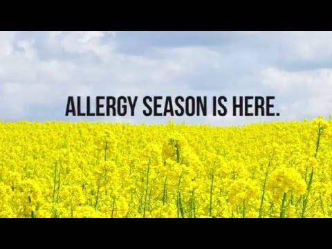 Allergy Medicine Actually Shrinks Your Brain!